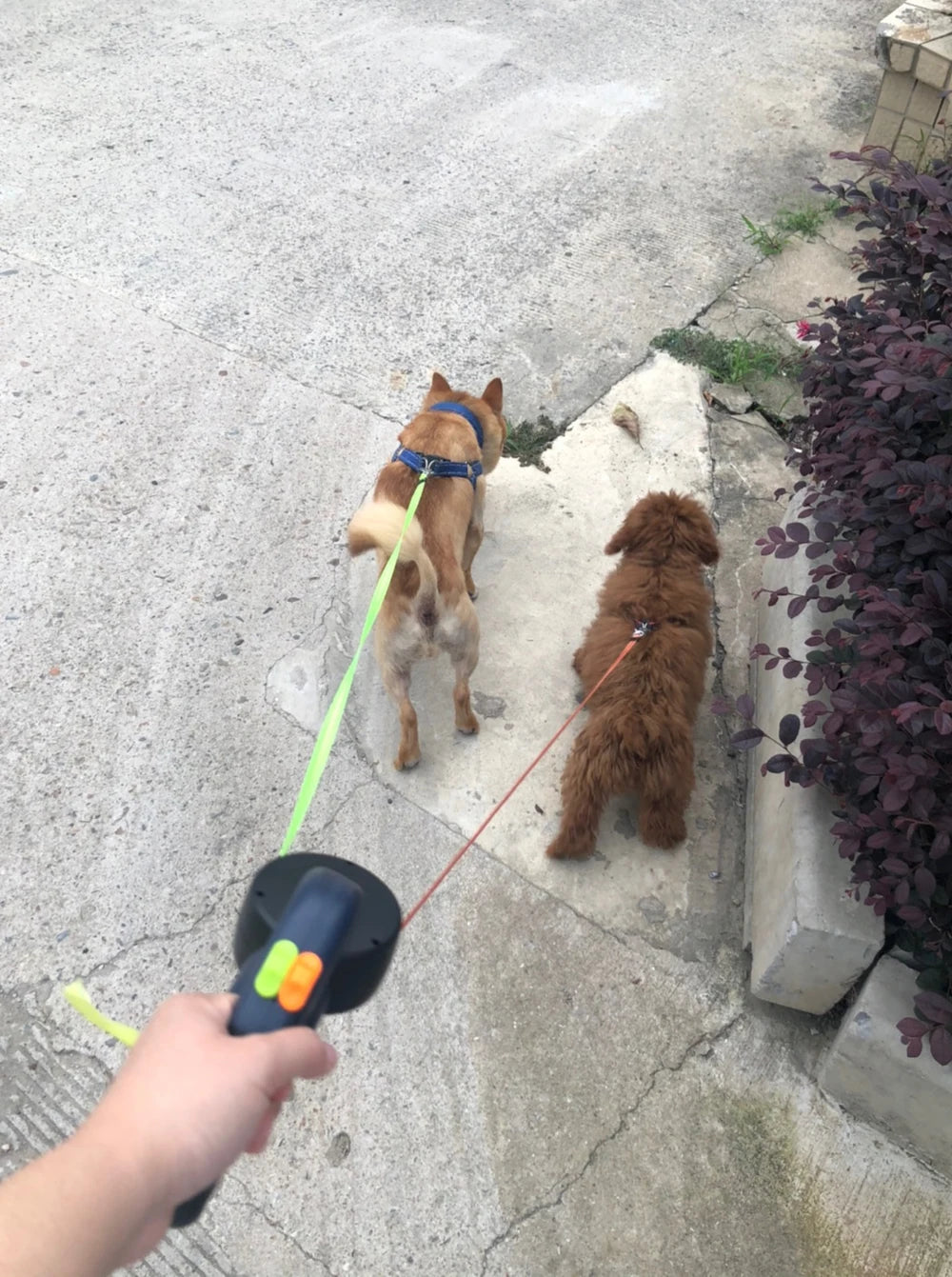 DuoWalk Pro Leash: 360° Dual Retractable Leash with Lights