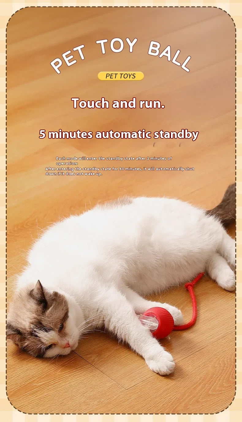 PurrPlay Smart Ball - USB Rolling Cat Toy for Endless Fun