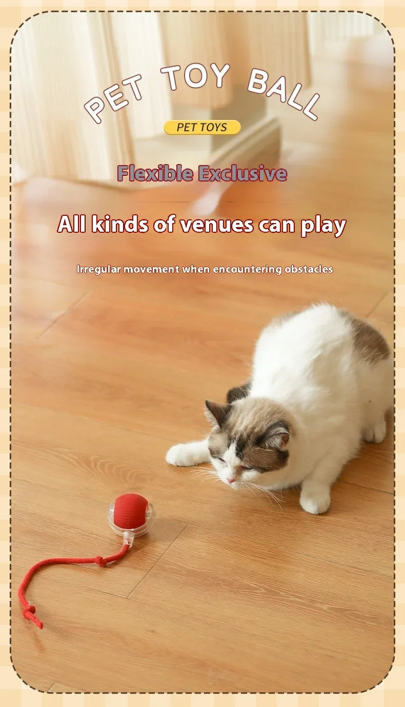 PurrPlay Smart Ball - USB Rolling Cat Toy for Endless Fun