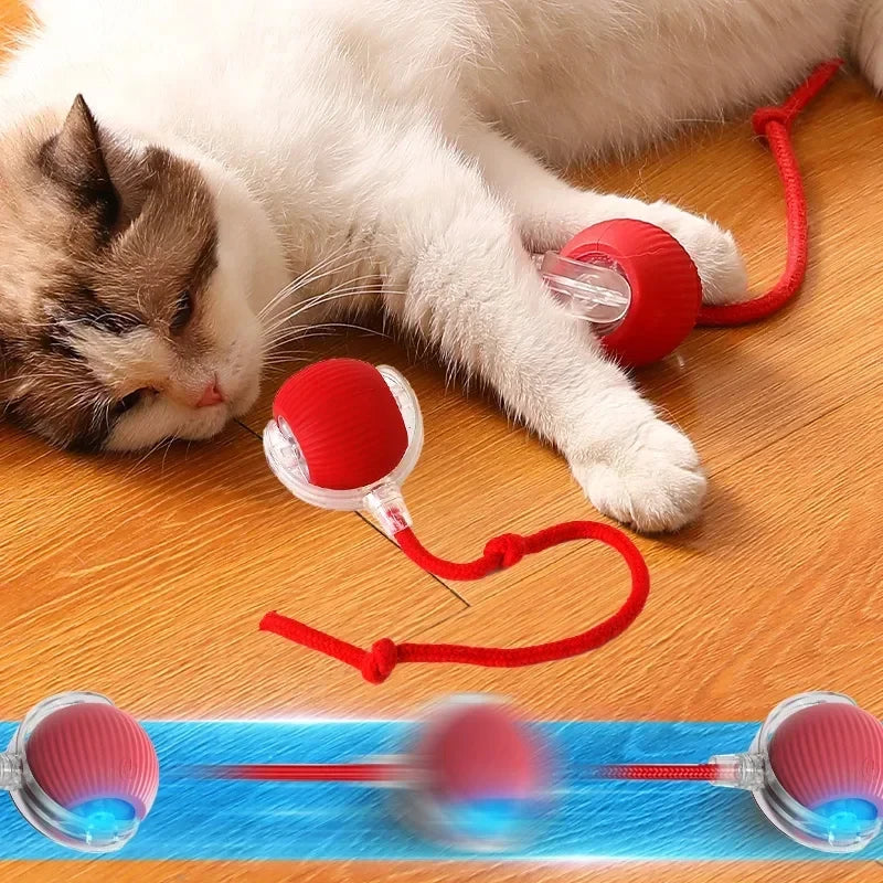 PurrPlay Smart Ball - USB Rolling Cat Toy for Endless Fun