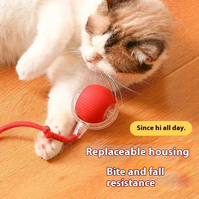 PurrPlay Smart Ball - USB Rolling Cat Toy for Endless Fun