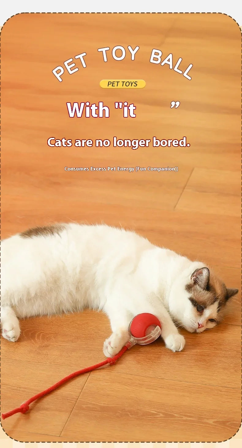 PurrPlay Smart Ball - USB Rolling Cat Toy for Endless Fun